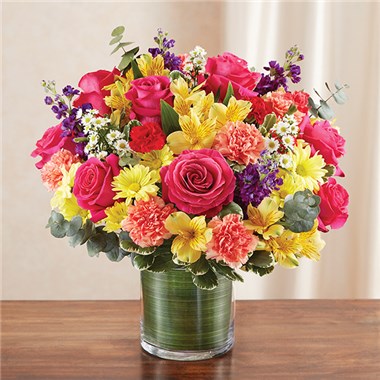 Cherished Memories &trade;-Multicolor Bright